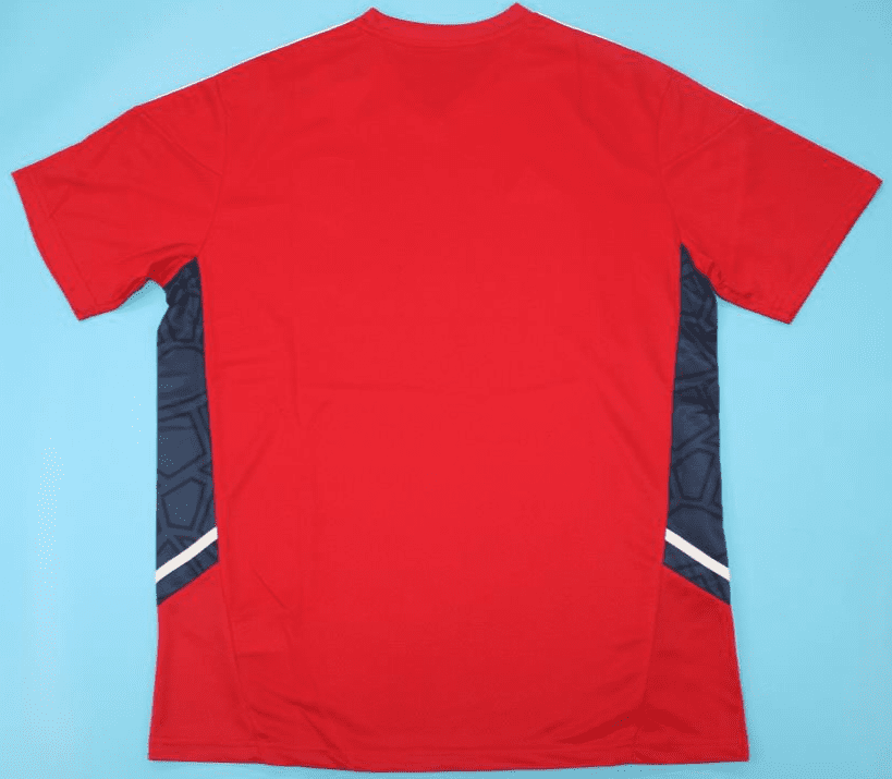 Arsenal 2022, Red with Blue Training Shirts