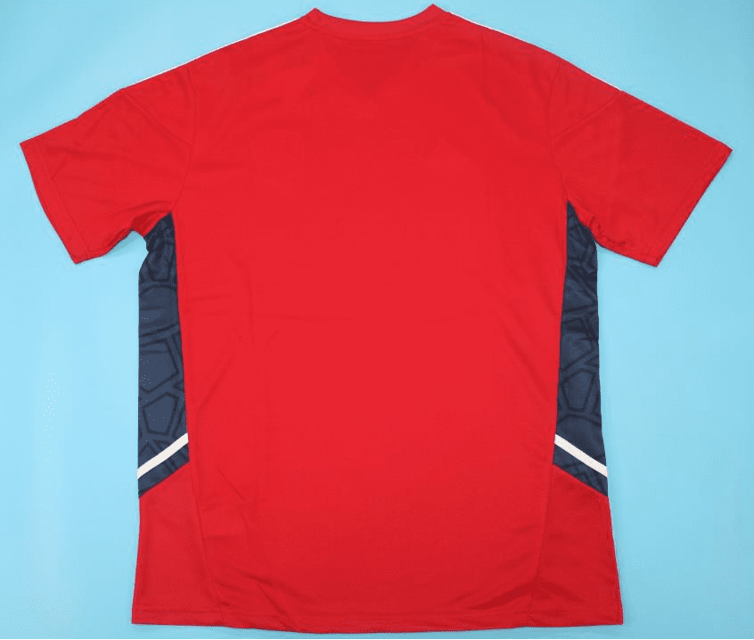 Arsenal 2022, Red with  Dark Blue Training Shirts