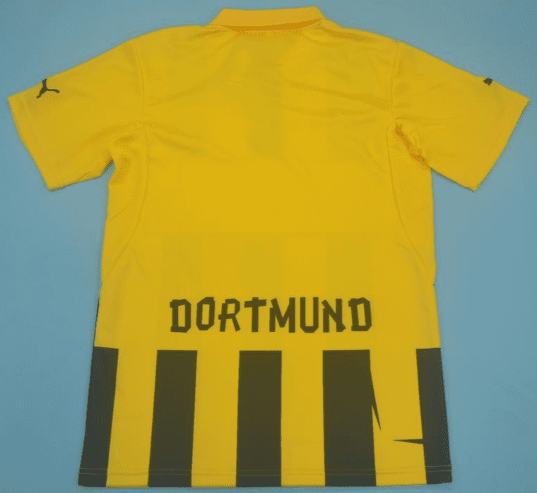 Borussia Dortmund 2012-13, UCL