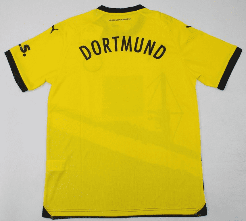 Borussia Dortmund 2023-24, Home