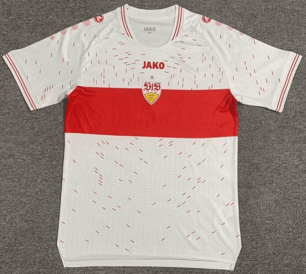 VfB Stuttgart 23-24, Home