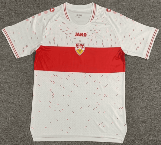 VfB Stuttgart 23-24, Home