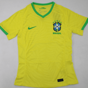 Brazil 2023-24,  Home Player Version