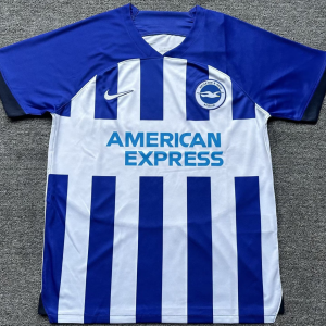 Brighton & Hove Albion 23-24, Home