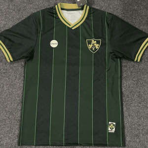 Ireland 2023, Premier Jersey