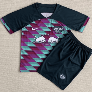 RB Leipzig 23-24, Home