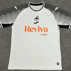 Swansea City 23-24, Home