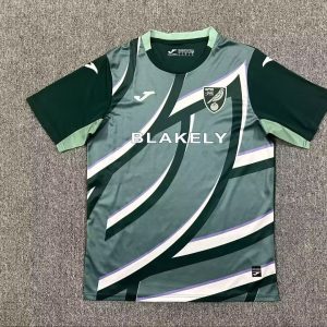 Norwich 2025-2026 Away