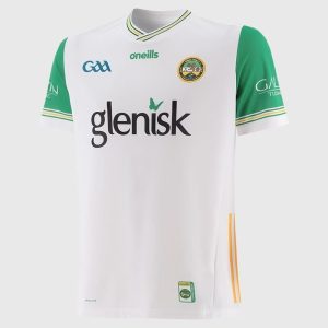 Offaly GAA 2025