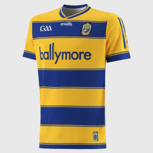 Roscommon GAA 2025