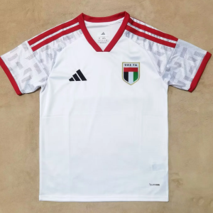 United Arab Emirates 2026 Home
