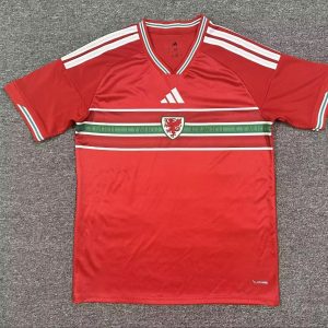 Wales 2026 Home