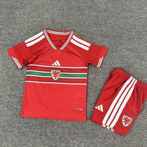 Wales 2026 Kids Home Kit