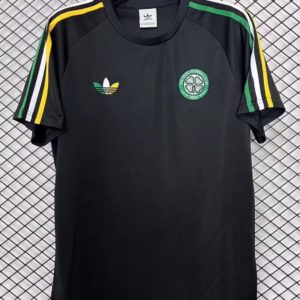 Celtic Irish Heritage 2026